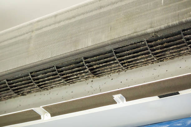 Air Duct Mold Removal in FL